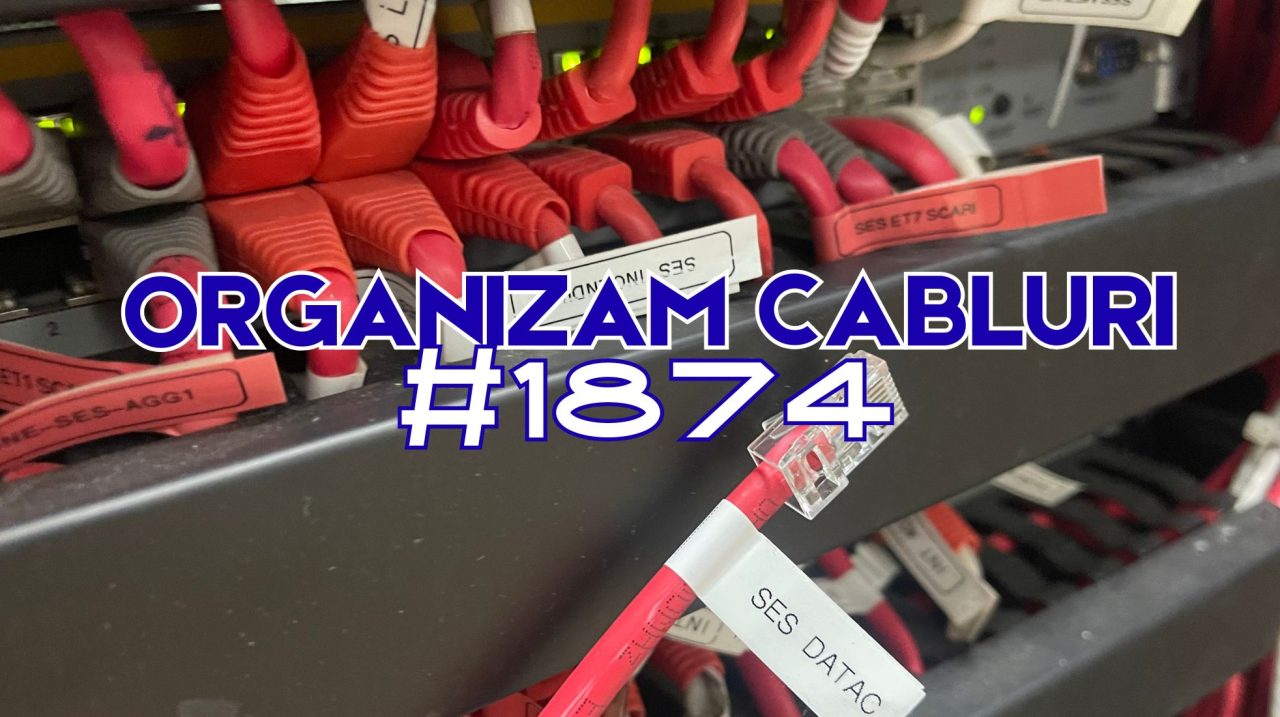organizare cabluri retea 1874