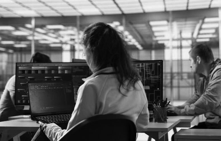 training IT angajati