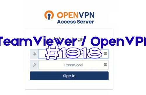teamviewer openvpn