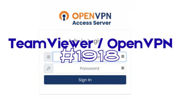 teamviewer openvpn